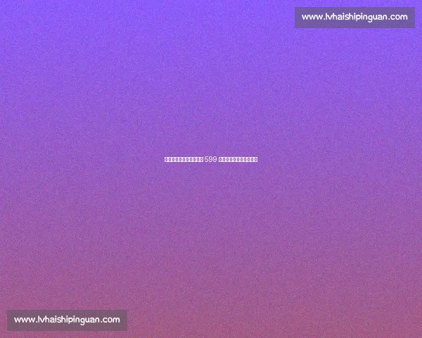 篮网锁定小托马斯续约权 599 万资质报价彰显核心地位